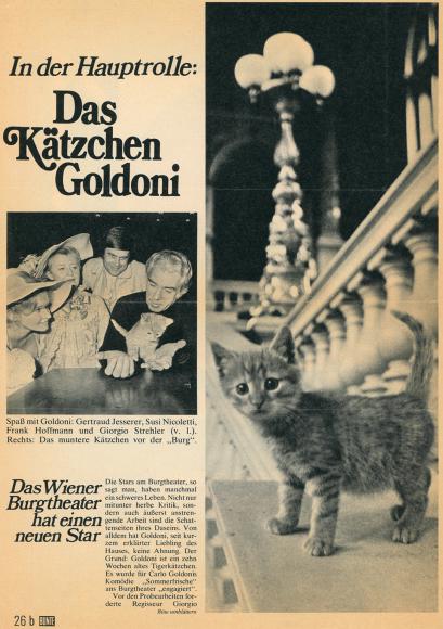 In scena a Vienna anche una gattina che Strehler battezza con il nome di Goldoni - Archivio Piccolo Teatro di Milano 